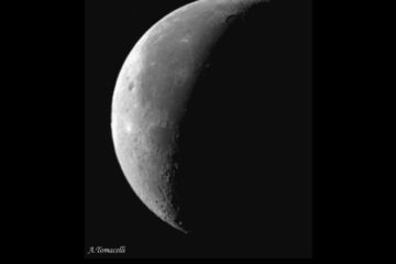 Luna di Andrea Tomacelli