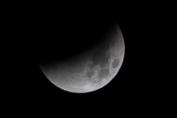 Eclissi di Luna, Andrea Tomacelli