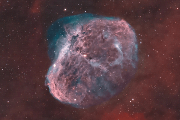 NGC 6888 - foto di Gabriele Piantadosi