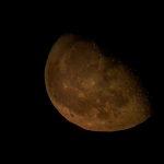 Luna, foto di Leonardo Pignatelli