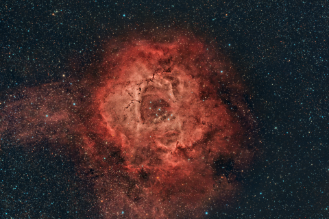 Rosetta Nebula. Autore: Michele Bernardo