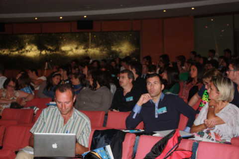 IMG 7410