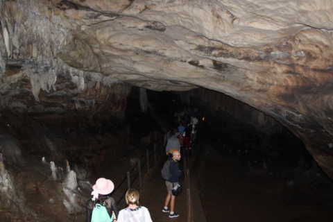 Interno delle Grotte