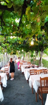 Tavoli sotto i filari di vigneti