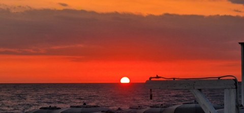 11 agosto 2023 - San Lorenzo al Lido Gallo