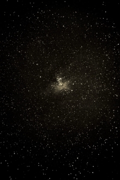 M16 - foto di Daniele Schiano