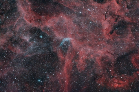 Nebulosa WR134 MB, foto di Michele Bernardo