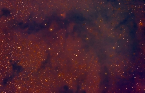 Nebulosa LDN 767 (Aquila), foto di Michele Bernardo