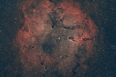 IC-1396. Autore: Michele Bernardo