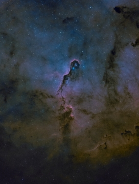 IC139, Proboscide di Elefante - foto di Gabriele Piantadosi