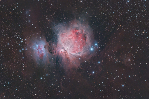 M42 - Nebulosa di Orione. Autore: Michele Bernardo.