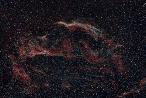 NGC-6960. Autore: Michele Bernardo.