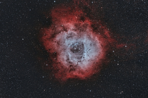 Nebulosa RosettaAutore: Michele Bernardo