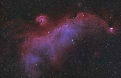 Nebulosa GabbianoAutore: Michele Bernardo