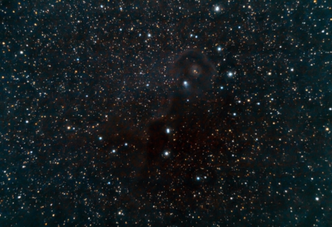 IC1396 - Nebulosa Proboscide (una parte)