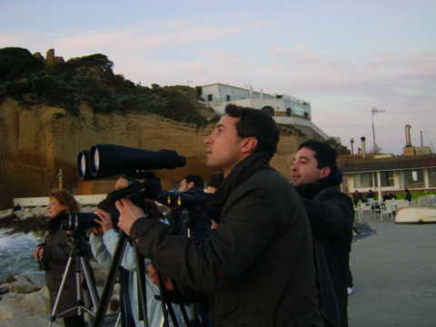 Osservazione cometa PANStarrs + Raggio Verde!